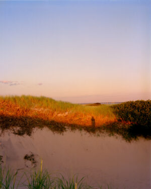 This three-panel panoramic landscape photograph made on Cape Cod depicts golden sunset light washing over sand dunes crested with American beachgrass below a dramatic sky.
