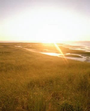 This seven-panel panoramic Cape Cod beach landscape photograph shows the light from a sunrise falling across a spit of beach projecting into a bay.