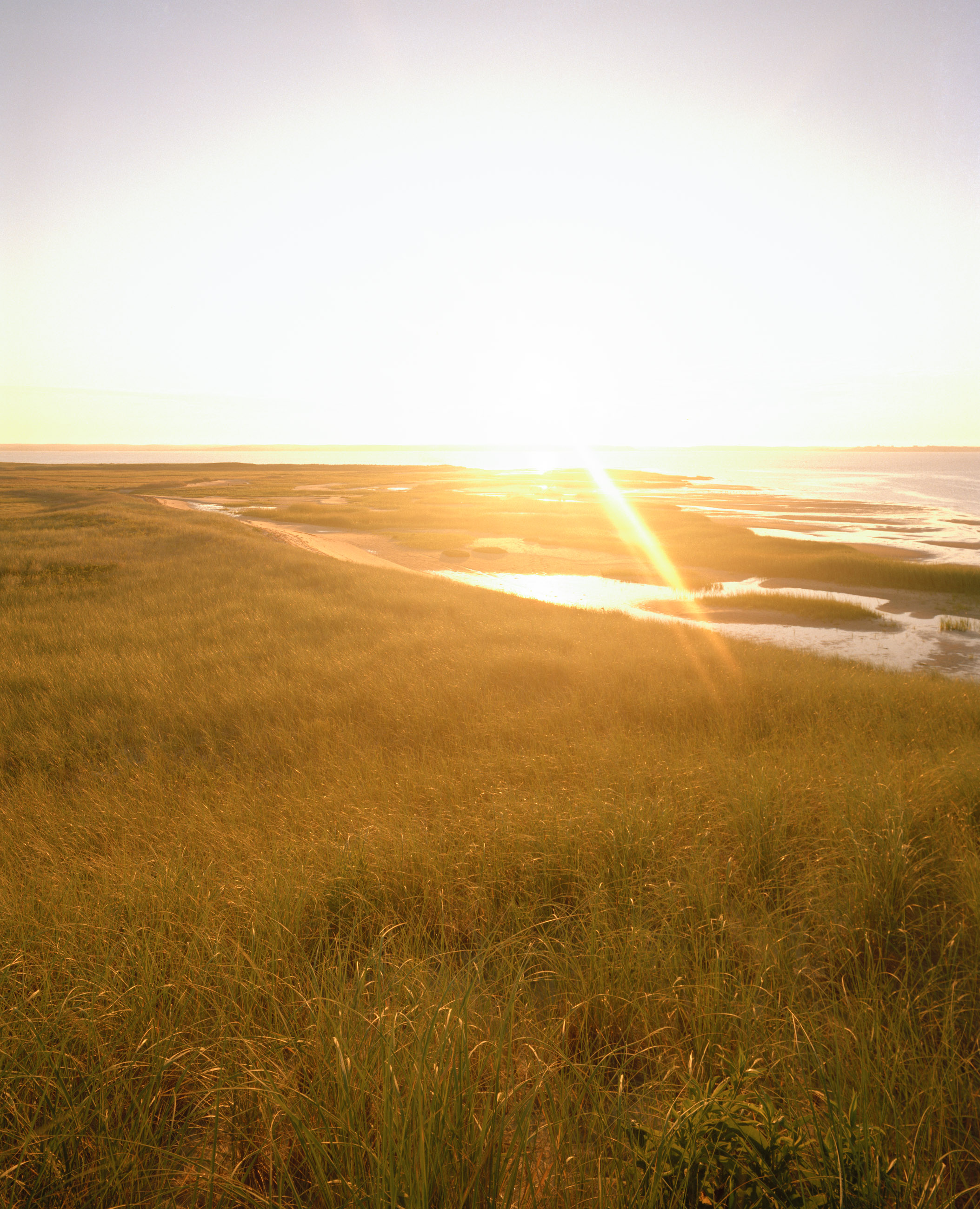 This seven-panel panoramic Cape Cod beach landscape photograph shows the light from a sunrise falling across a spit of beach projecting into a bay.