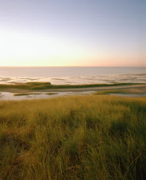 This seven-panel panoramic Cape Cod beach landscape photograph shows the light from a sunrise falling across a spit of beach projecting into a bay.