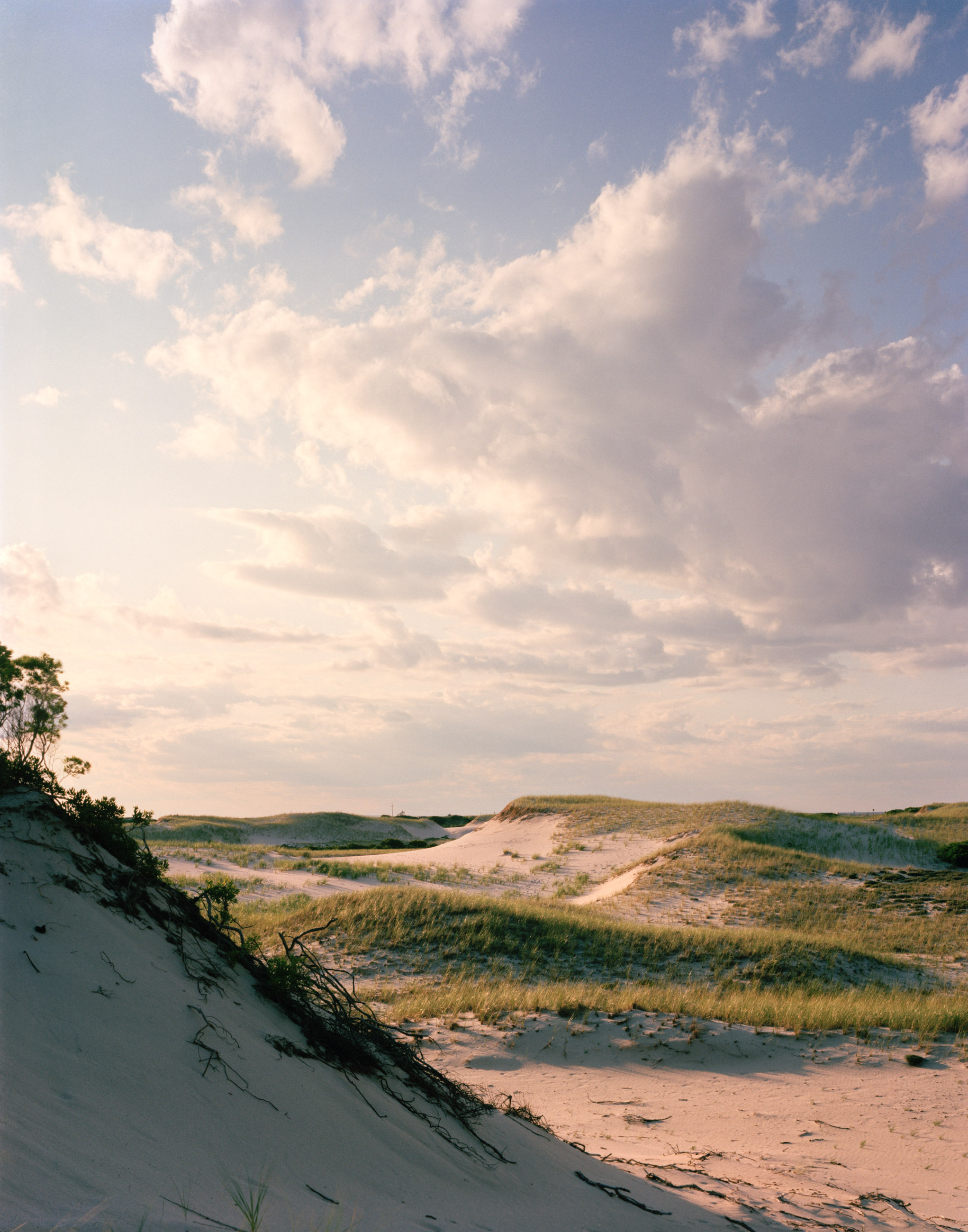 This three-panel panoramic photograph shows a Cape Cod barrier beach interior landscape of sand dunes topped with vegetation under cumulus clouds lit by a setting sun.