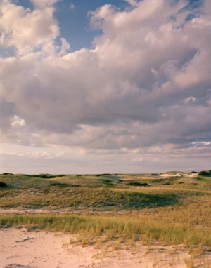 This three-panel panoramic photograph shows a Cape Cod barrier beach interior landscape of sand dunes topped with vegetation under cumulus clouds lit by a setting sun.