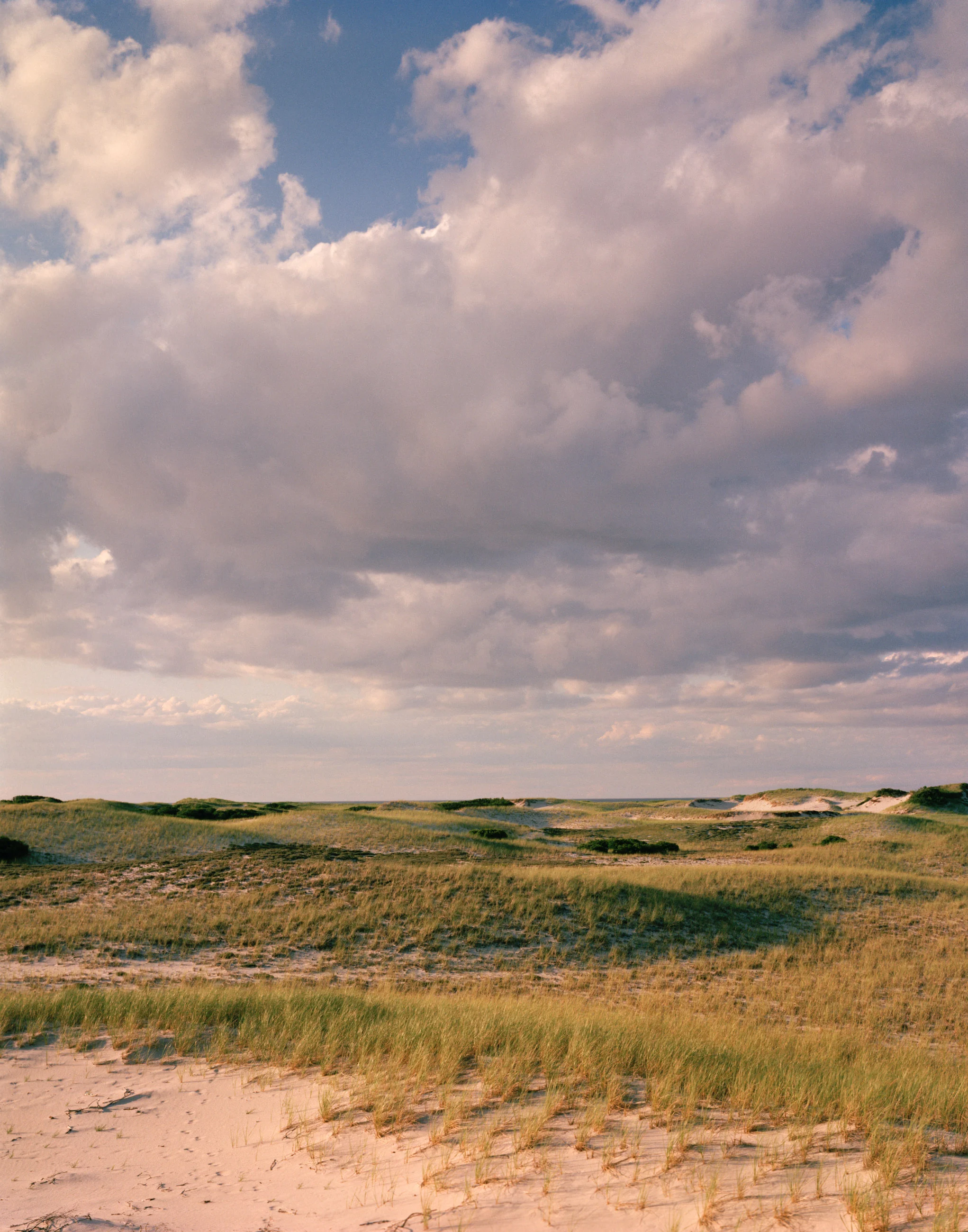 This three-panel panoramic photograph shows a Cape Cod barrier beach interior landscape of sand dunes topped with vegetation under cumulus clouds lit by a setting sun.