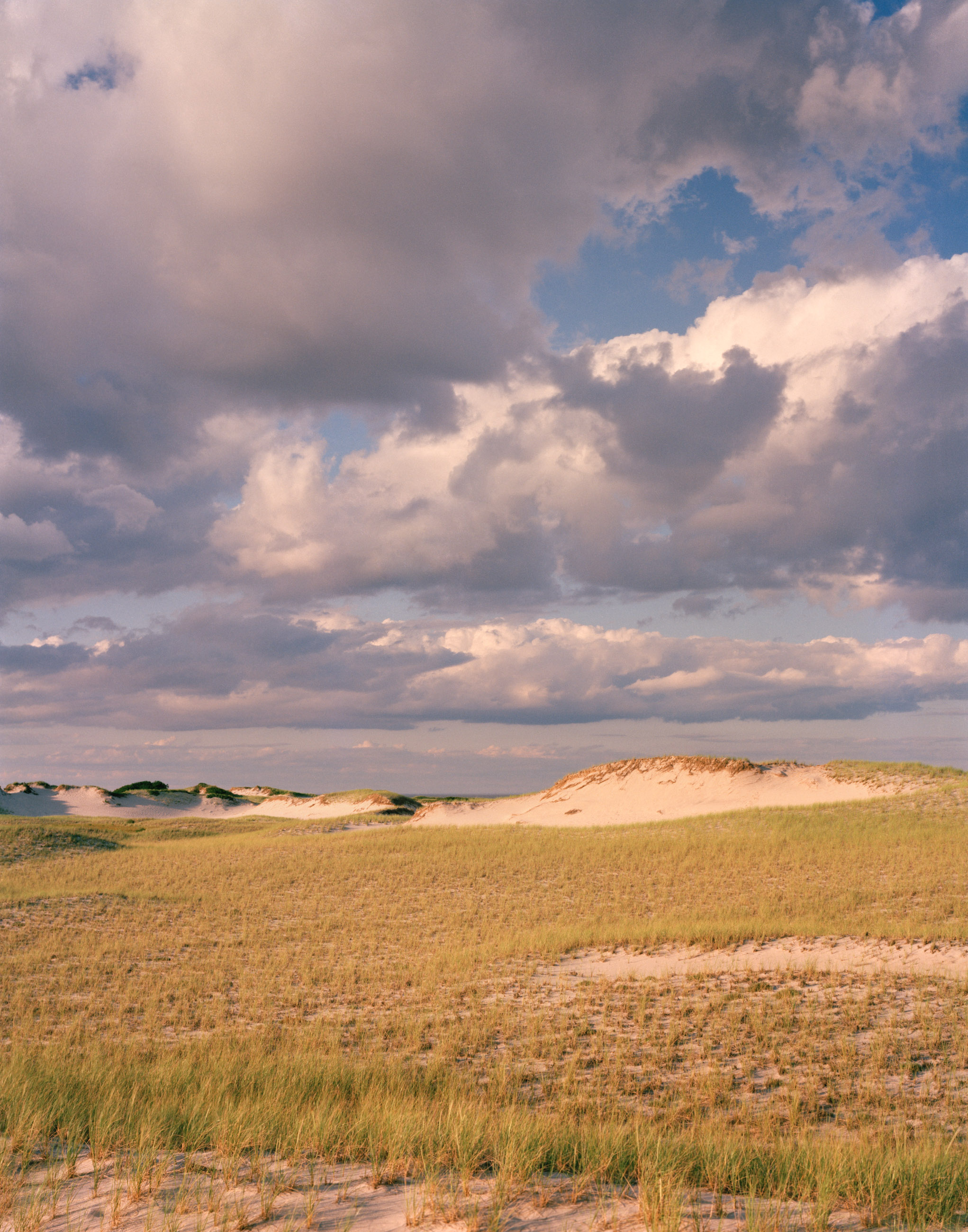 This three-panel panoramic photograph shows a Cape Cod barrier beach interior landscape of sand dunes topped with vegetation under cumulus clouds lit by a setting sun.