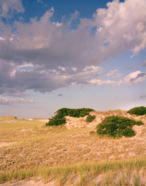 This three-panel panoramic photograph shows a Cape Cod barrier beach interior landscape of sand dunes topped with vegetation under cumulus clouds lit by a setting sun.