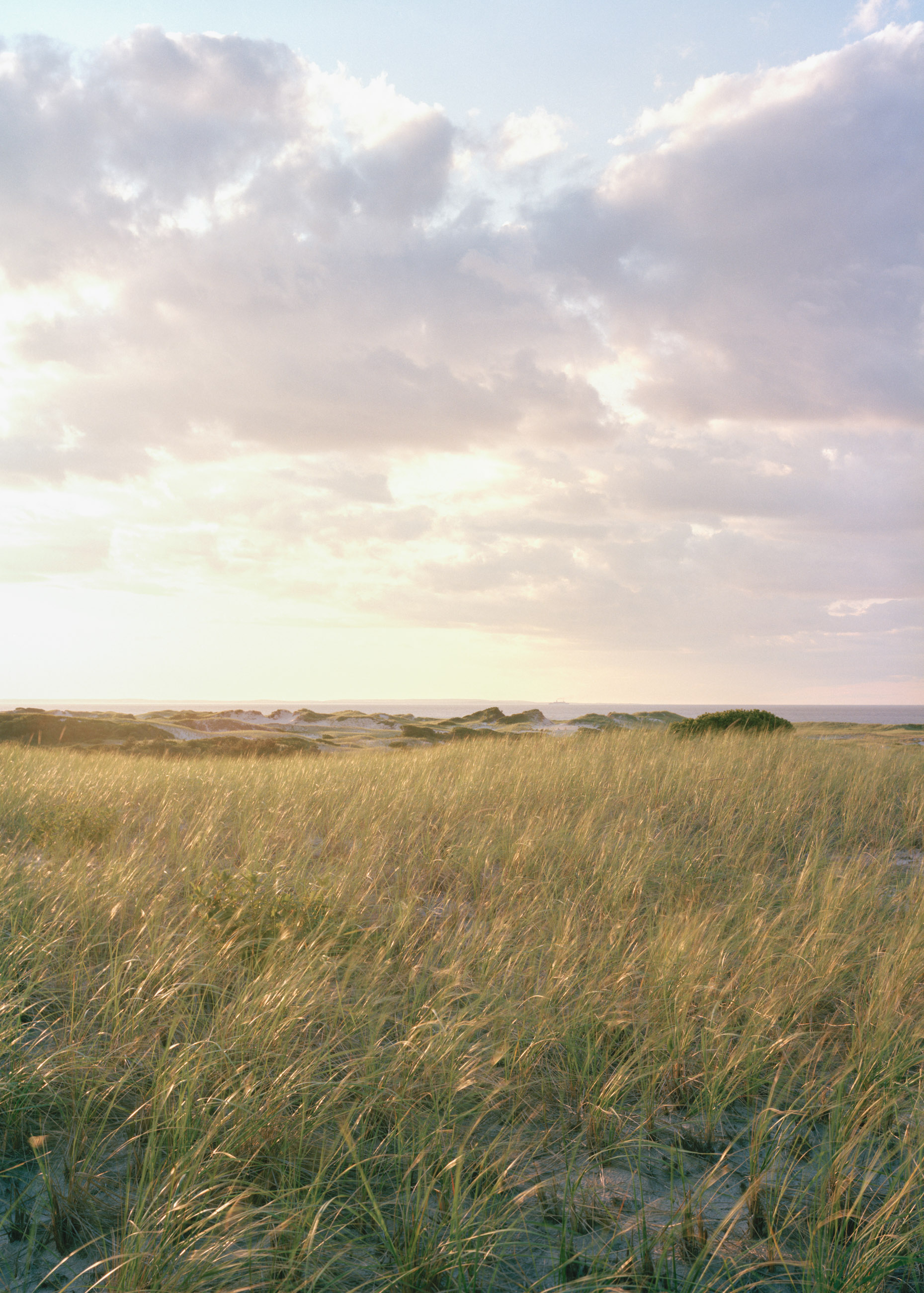This eight-panel panoramic photograph shows a Cape Cod barrier beach interior landscape of sand dunes topped with vegetation sweeping over to a salt marsh.