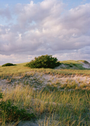 This eight-panel panoramic photograph shows a Cape Cod barrier beach interior landscape of sand dunes topped with vegetation sweeping over to a salt marsh.
