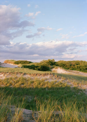 This eight-panel panoramic photograph shows a Cape Cod barrier beach interior landscape of sand dunes topped with vegetation sweeping over to a salt marsh.
