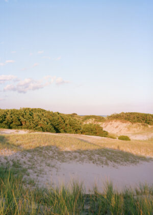 This eight-panel panoramic photograph shows a Cape Cod barrier beach interior landscape of sand dunes topped with vegetation sweeping over to a salt marsh.