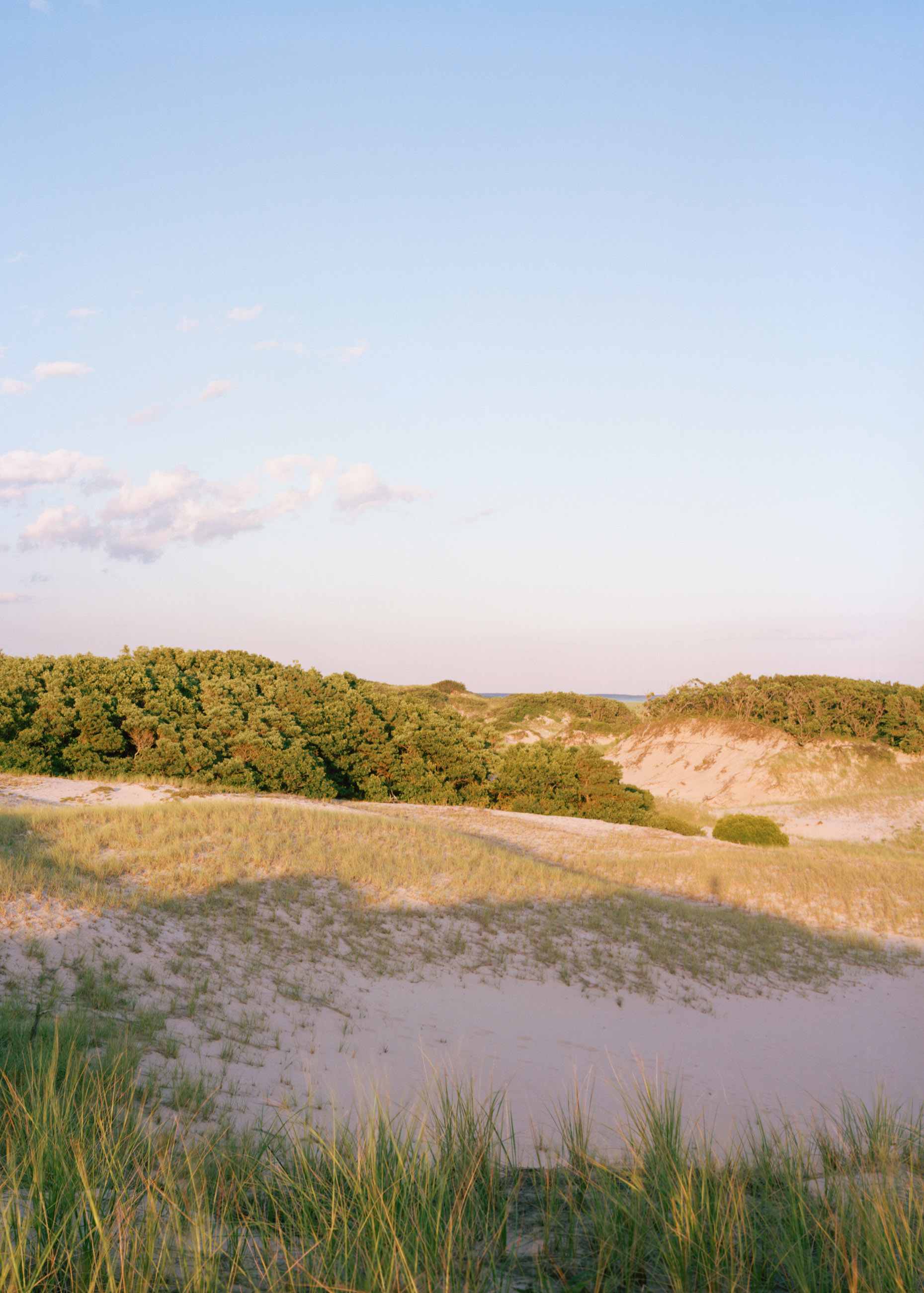 This eight-panel panoramic photograph shows a Cape Cod barrier beach interior landscape of sand dunes topped with vegetation sweeping over to a salt marsh.