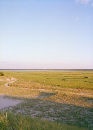 This eight-panel panoramic photograph shows a Cape Cod barrier beach interior landscape of sand dunes topped with vegetation sweeping over to a salt marsh.