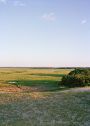 This eight-panel panoramic photograph shows a Cape Cod barrier beach interior landscape of sand dunes topped with vegetation sweeping over to a salt marsh.