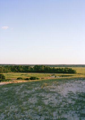 This eight-panel panoramic photograph shows a Cape Cod barrier beach interior landscape of sand dunes topped with vegetation sweeping over to a salt marsh.
