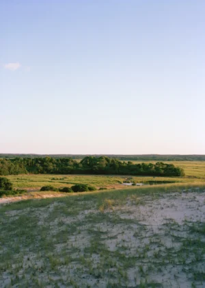 This eight-panel panoramic photograph shows a Cape Cod barrier beach interior landscape of sand dunes topped with vegetation sweeping over to a salt marsh.