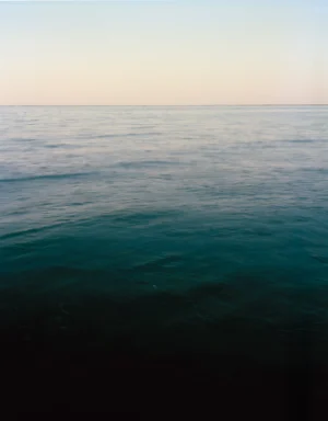 This five-panel panoramic landscape photograph shows flooding Cape Cod Bay tidal water rising up around a field of boulders distributed across a small beach headland.